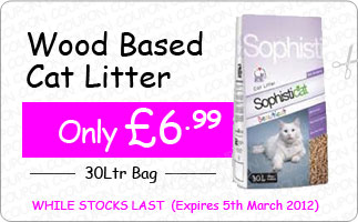 Coupon 4